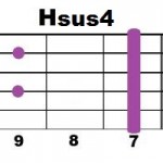 Hsus4-2